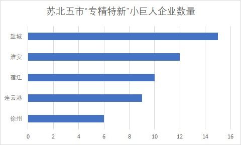 蘇北五市52家“小巨人”入選國(guó)家隊(duì)，化工賽道彰顯江蘇制造業(yè)韌性?xún)?yōu)勢(shì)